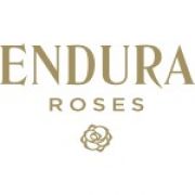 franchise Endura Roses