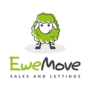 EweMove Estate Agents Using Their Franchise as a Force for Change